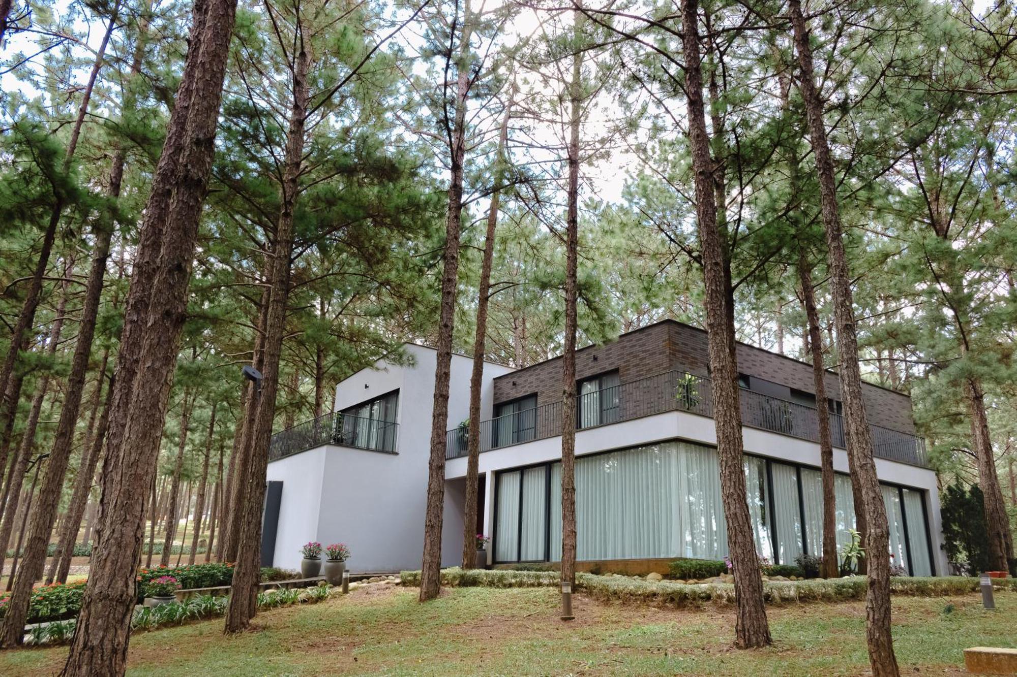 Terracotta Hotel & Resort Dalat Eksteriør bilde